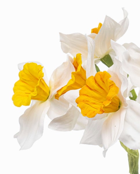 Weißer matter Keramik-Blumentopf in runder Form mit grüner Pflanze und dekorativen Kieselsteinen.