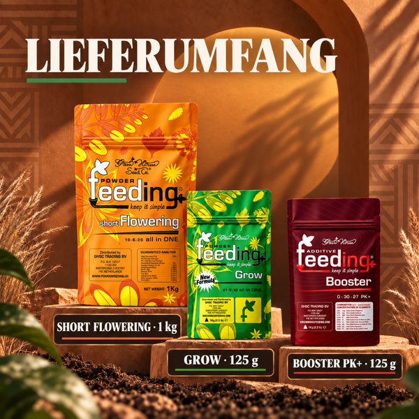 Set mit drei Green House Seed Company Powder Feeding Düngerpackungen in verschiedenen Größen auf Steinpodesten vor einem Torbogen.