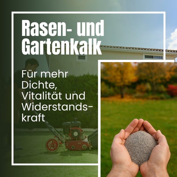 Rasen- und Gartenkalk zur Verbesserung der Bodendichte, Vitalität und Widerstandskraft