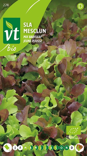 Samenpackung für Mesclun Salat, eine Babyblattmischung