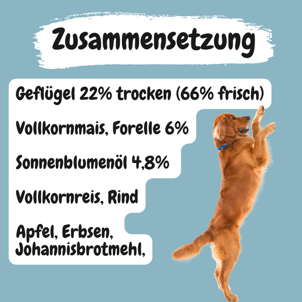 Kaltgepresst Poulet & Regenbogenforelle mit Reis | hoher Fleischanteil (ca. 66% Ente, Huhn, Pute frisch)| naturnahe Rezeptur