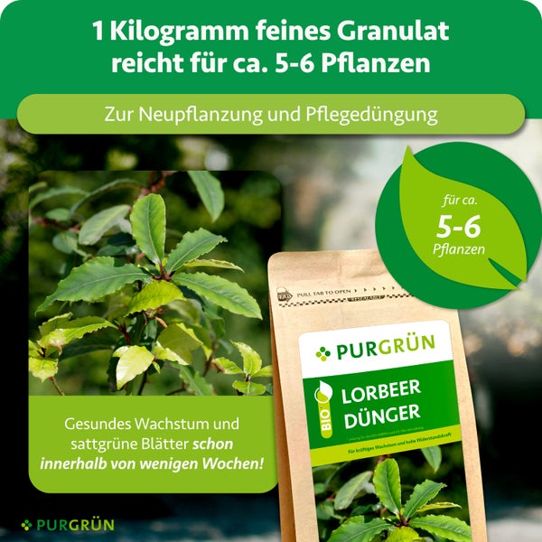 Bio-Lorbeer-Dünger von Purgrün, 1 Kilogramm feines Granulat für circa 5 bis 6 Pflanzen, geeignet für Neupflanzung und Pflegedüngung.