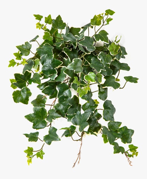Künstlicher Efeubusch mit grünen und weißen Blättern aus Textilmaterial.