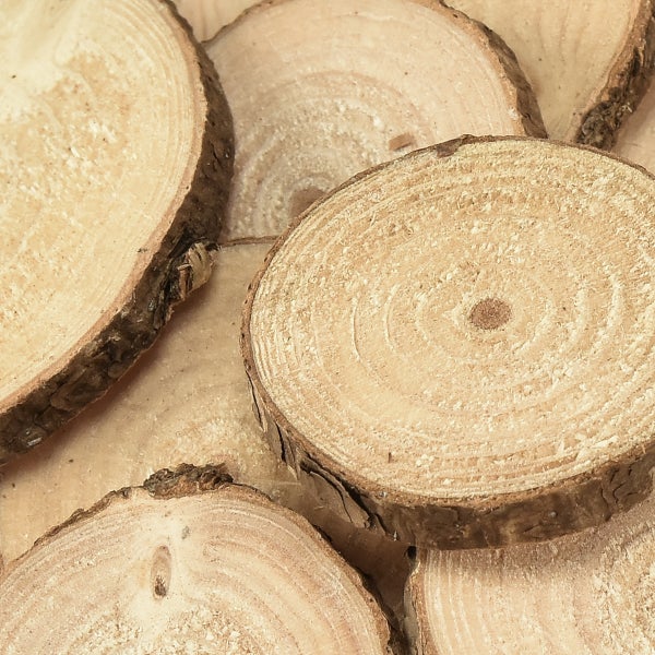 Naturbelassene Holzscheiben mit Rinde und sichtbaren Jahresringen zum Dekorieren und Basteln.