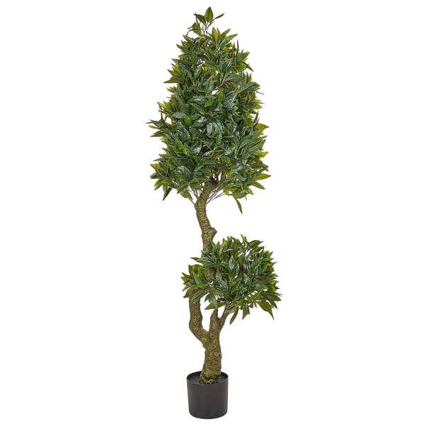 Dimensionszeichnung Zierbaum, Höhe 160 cm