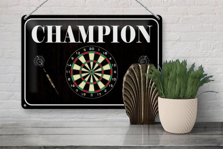 Blechschild Spruch 30x20cm Darts Champion