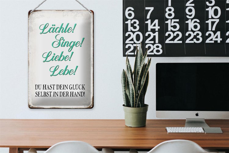 Blechschild Spruch 20x30cm Lächle Singe Liebe Lebe Glück