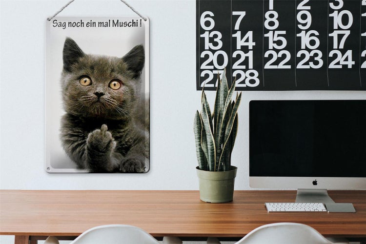 Blechschild Spruch 20x30cm Katze sag noch ein mal Muschi
