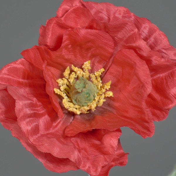Künstliche Mohnknospe mit grünem behaartem Stängel und Blatt.