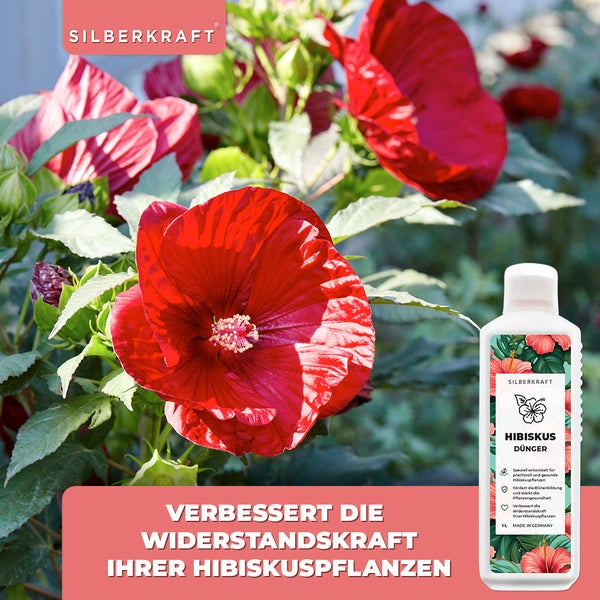 SILBERKRAFT Hibiskus Dünger – Für Roseneibisch & Hibiskus – 1 Liter