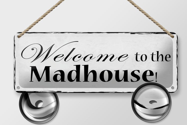Blechschild Spruch 27x10cm welcome to the Madhouse Dekoration