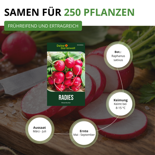 Radieschensamen Riesenbutter für circa 250 Pflanzen. Aussaat März bis Juli, Ernte Mai bis September, Keimung bei 8 bis 15 Grad Celsius.
