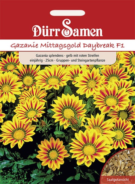 Samen für Gazanie Mittagsgold Daybreak F1, Dürr Samen Logo, gelbe Blüten mit roten Streifen, einjährig, Höhe circa 25 Zentimeter.
