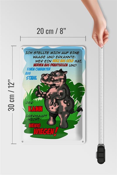 Blechschild Spruch 20x30cm Ich stellte mich auf Waage