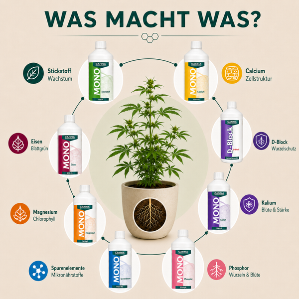 Infografik zeigt Canna Mono Duengerprodukte fuer verschiedene Pflanzennaehrstoffe wie Stickstoff, Calcium, Eisen, Magnesium, Phosphor und Kalium.
