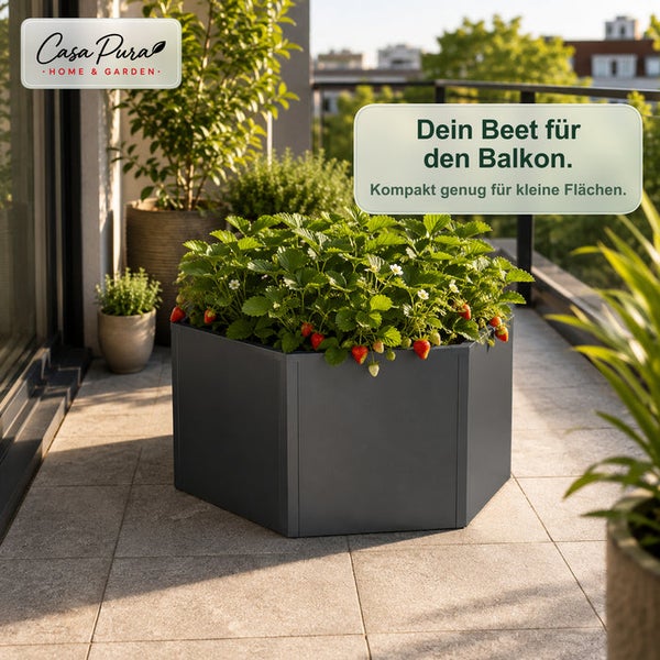 Casa Pura Logo. Ein sechseckiges Hochbeet auf einem sonnigen Balkon, bepflanzt mit üppigen Erdbeerpflanzen, die reife rote Früchte tragen.