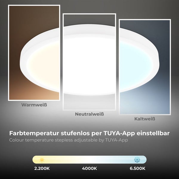LED Panel Ø27 cm - 20W, 2100lm, smart, dimmbar, Fernbedienung, CCT, RGB, weiß