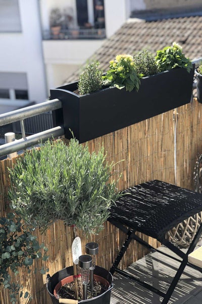 Moderner Balkon mit schwarzem Pflanzkasten am Geländer, Sichtschutz aus Bambusmatten und einer Lavendelpflanze im Topf.