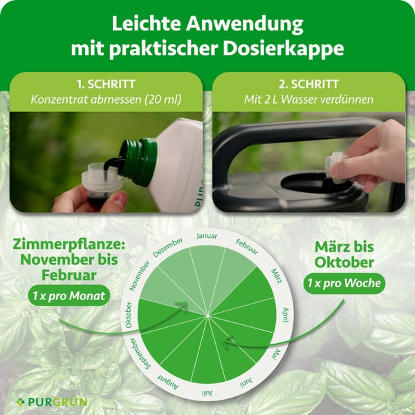 Infografik zur Anwendung von Purgrün Dünger: 20 Milliliter Konzentrat auf 2 Liter Wasser verdünnen. Mit Saisonkalender. Purgrün Logo.