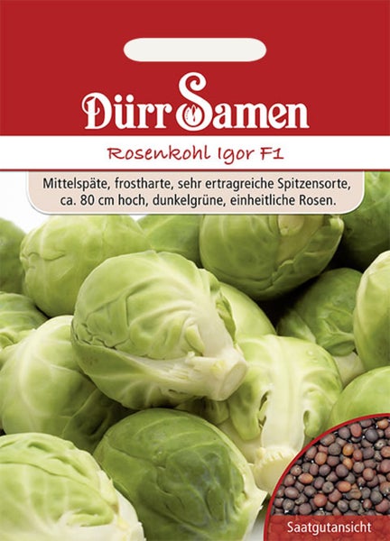 Samentüte Rosenkohl Igor F1 von Dürr Samen mit Abbildung reifer Rosenkohlköpfe und einer Nahaufnahme der Samen.