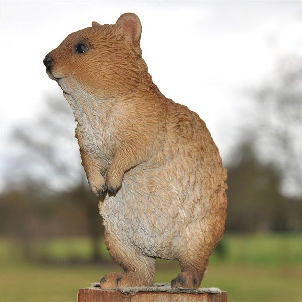Dekofigur Gartenfigur Erdmännchen