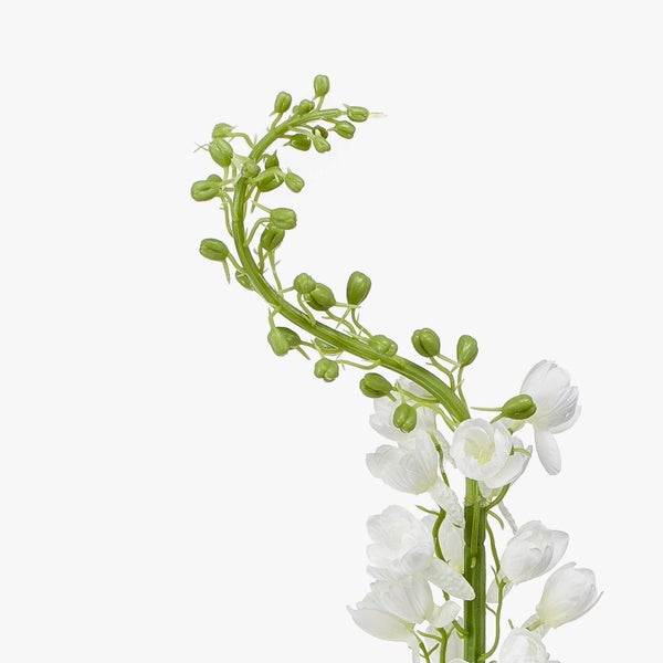Künstlicher Rittersporn mit weißen Blüten und grünen Knospen am geschwungenen Stiel.