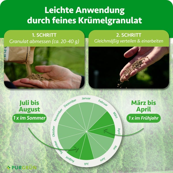 Anwendungsschritte für feines Krümelgranulat und Zeitplan für die Düngung im März bis April sowie Juli bis August. PURGRÜN Logo.