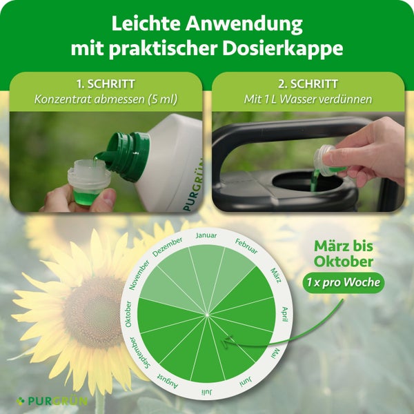 Anleitung zur Anwendung von Purgrün Flüssigdünger mit Dosierkappe, Verdünnungsschritte und Anwendungskalender für die Monate März bis Oktober.