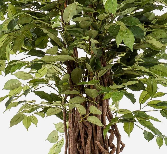 Künstlicher Ficus mit grünen Blättern und einem Stamm aus verflochtenen Naturholzzweigen.