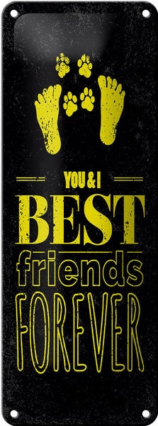 Blechschild Spruch Freunde You I best friends forever 10x27cm