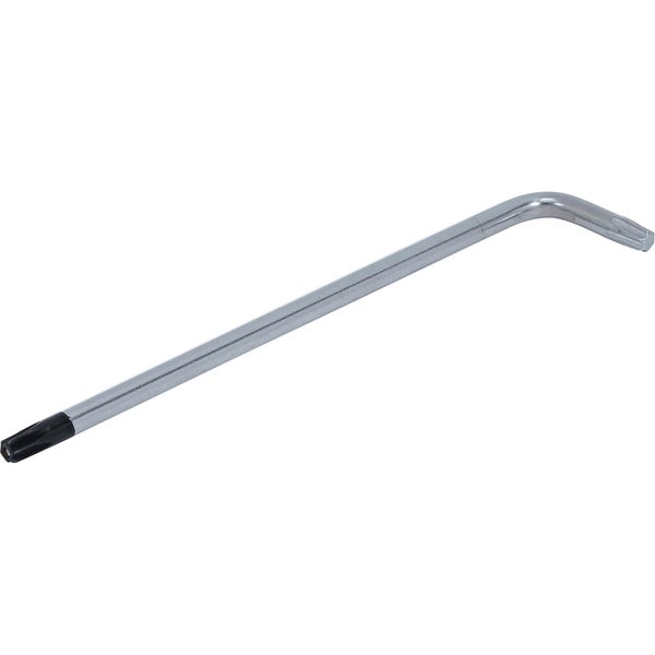 Nahaufnahme von Ziergras mit Tautropfen