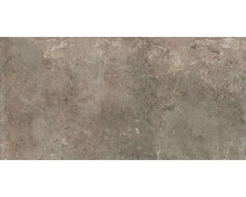 Wand- und Bodenfliese Watford taupe 60x120 cm