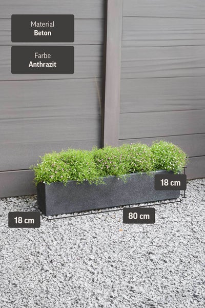 Anthrazitfarbener Blumenkasten aus Beton, 80 Zentimeter lang, 18 Zentimeter breit und 18 Zentimeter hoch, bepflanzt auf Kies vor einem Zaun.