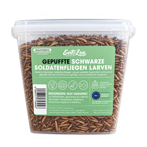 Ein transparenter Eimer mit 1,2 Kilogramm gepufften schwarzen Soldatenfliegenlarven als Einzelfuttermittel für Tiere.