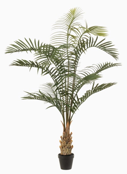 Künstliche Palme Cycas im schwarzen Kunststofftopf mit naturgetreuem Stamm und grünen Wedeln.