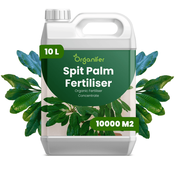 Organifer Spit Palm Dünger, 10 Liter Kanister, organisches Düngerkonzentrat für 10000 Quadratmeter, Organifer Logo.