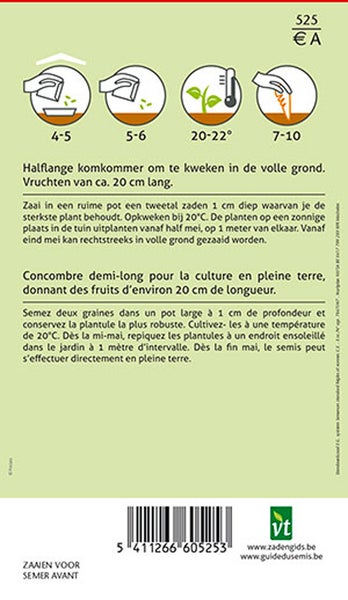 Anweisungen zum Anbau von halblangen Gurken im Freien