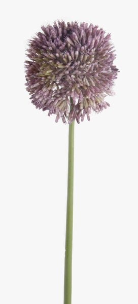Künstlicher Allium mit lila Blütenkopf an einem langen grünen Stiel.