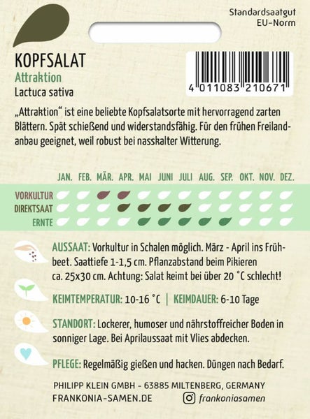 Kopfsalat Attraktion Saatgutpackung