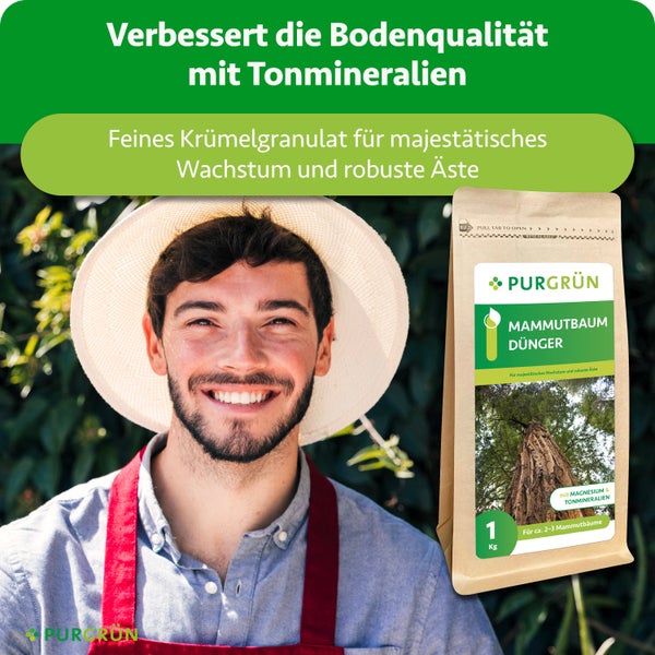 Purgrün Mammutbaum Dünger mit Tonmineralien und Magnesium für majestätisches Wachstum, 1 Kilogramm Beutel, abgebildet mit einem Gärtner.