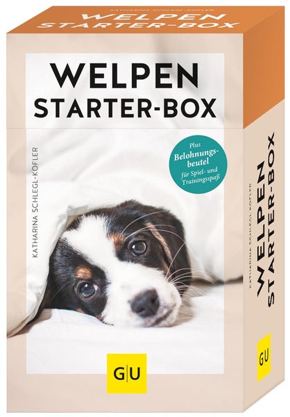 Welpen-Starter-Box Plus Belohnungsbeutel für sofortigen Spiel- und Trainingsspaß