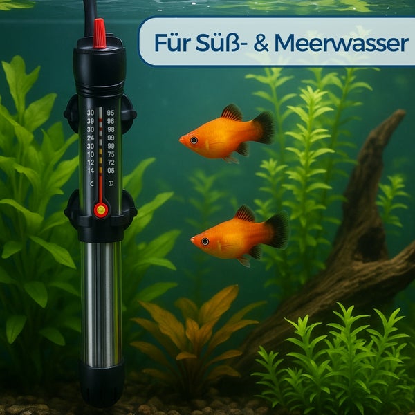 Aquarium mit Heizstab, Fischen und Pflanzen