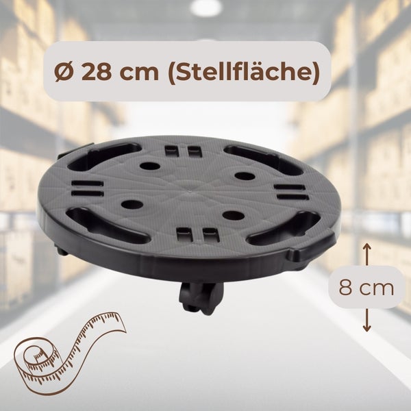 Pflanzenroller mit 28 Zentimeter Durchmesser und einer Höhe von 8 Zentimetern