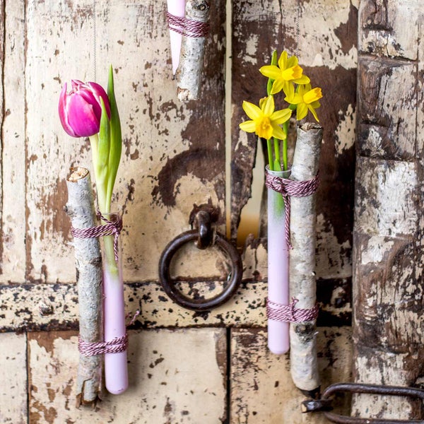 Frühlingsdekoration mit Tulpe und Osterglocken in Reagenzgläsern an Birkenzweigen vor einer rustikalen Holztür.