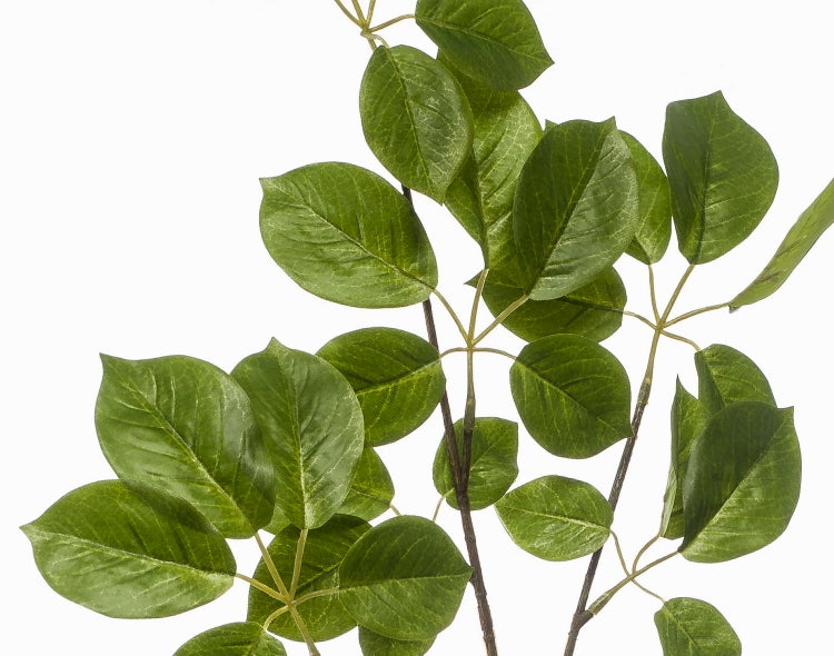 Künstlicher grüner Zweig mit breiten Blättern und braunen Stielen.