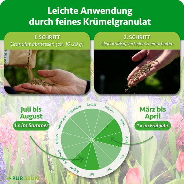 Anwendungshinweise und Düngekalender für Purgrün Granulat mit zwei Schritten zur Ausbringung und Informationen zu den Anwendungsmonaten.