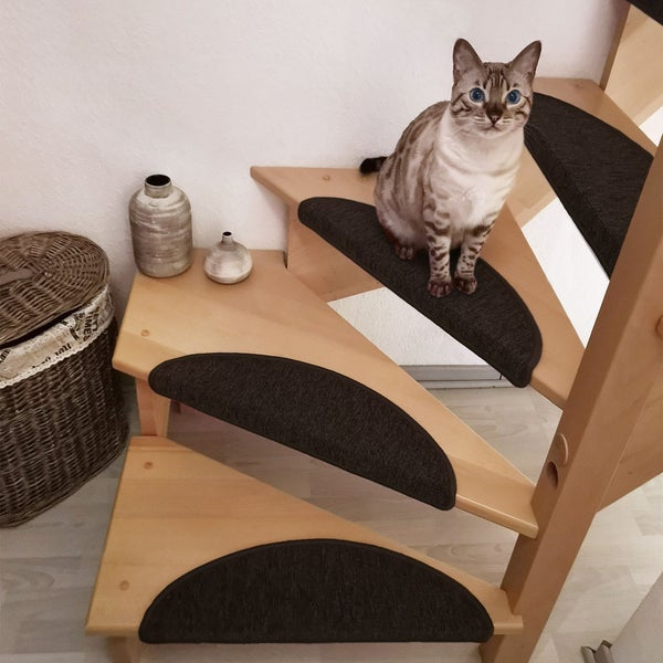 Beautissu ProStair Stufenmatte 56x20cm Dunkelbraun (15tlg)