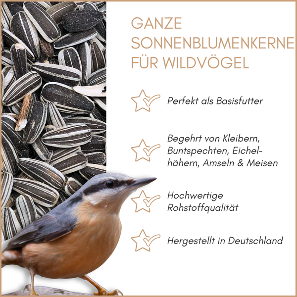 Ganze Sonnenblumenkerne für Wildvögel mit einem Kleiber im Vordergrund. Hochwertiges Basisfutter aus Deutschland.