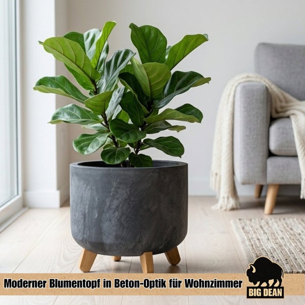 Runder Blumentopf in Betonoptik mit Holzfüßen und grüner Zimmerpflanze in einem modernen Wohnzimmer