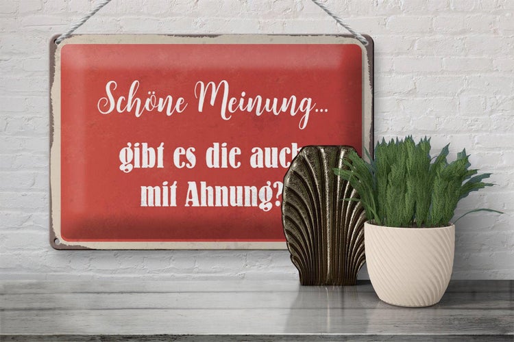 Blechschild Spruch 30x20cm schöne Meinung gibt mit Ahnung